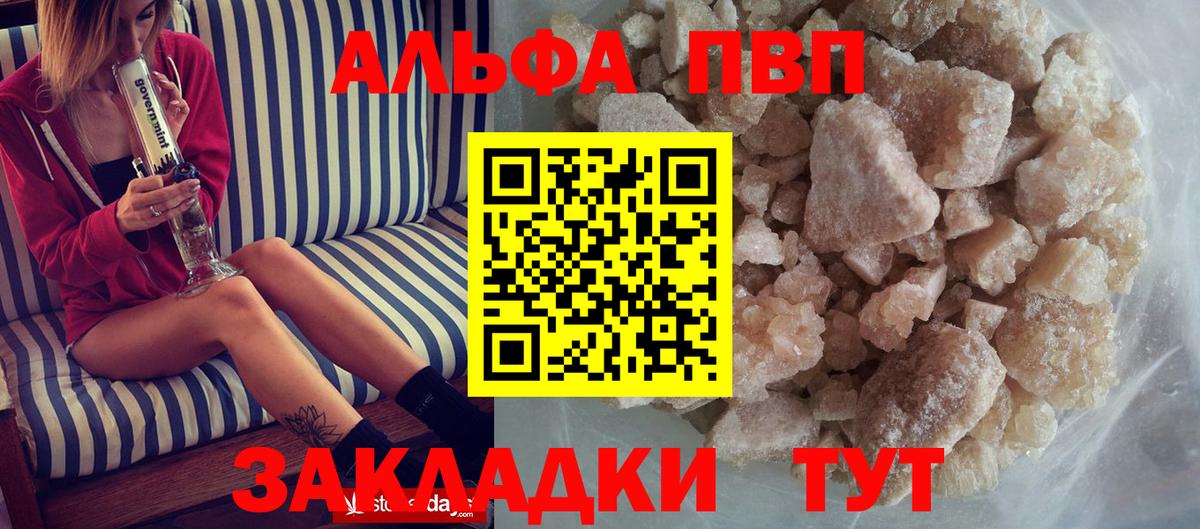 Альфа ПВП СК Ставрополь